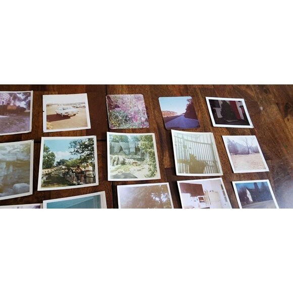 LOT  Of 35 vintage 1970's  PHOTOS Home Interiors Furniture Scenery Animals Zoo - Picture 7 of 12
